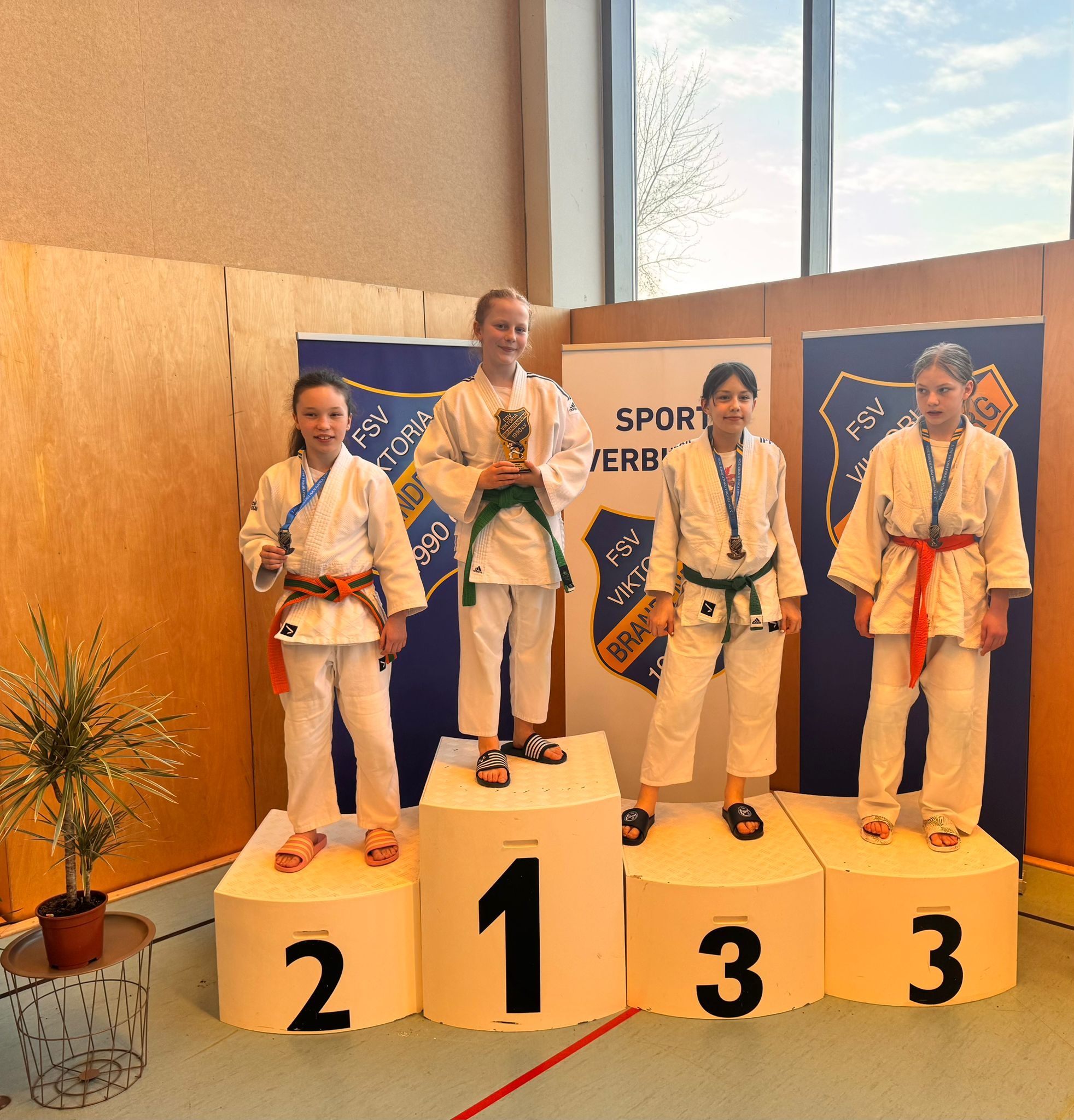 Viktoria-Pokalturnier in Brandenburg Grafik